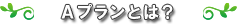 Aプランとは?