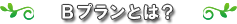 Bプランとは?